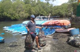 Sampah Menahun di Hutan Mangrove Bali, Begini Penanganannya