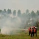 Waspada Dampak El Nino, Dishut: 6 Daerah di Sumbar Rawan Karhutla