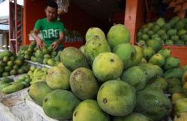 Buah Ini Jadi Komoditas Unggulan Kabupaten Cirebon, Produksinya hingga 40.000 Ton