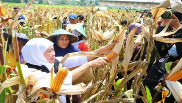 Peningkatan Produktivitas Pertanian Harus Selaras dengan Kesejahteraan Petani