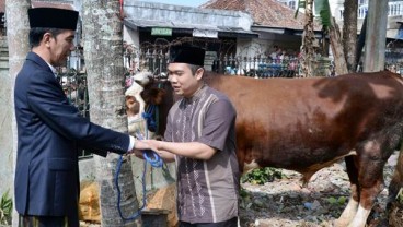 Potensi Ekonomi Kurban Tahun Ini Diproyeksikan Rp24,5 Triliun, Turun Tipis