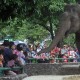 HUT DKI Jakarta Ke-496, Cek Promo Tiket Masuk Taman Margasatwa Ragunan