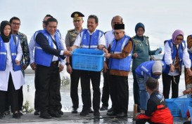 Ekspor Udang Indonesia Didorong Dioptimalkan