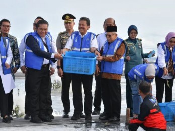 Ekspor Udang Indonesia Didorong Dioptimalkan