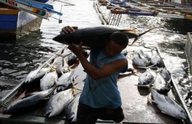 FishLog, Startup Agri Siap Dukung Stelina KKP