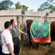 Jokowi Kurban Sapi Limousin 1,1 Ton pada Iduladha 1444 H, Beli di Lumajang
