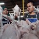 Ormas Sebarkan Ancaman, Pedagang Ayam di Jakarta Rugi Miliaran
