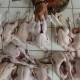 Peternak Ayam Ungkap Pedagang Justru Rugi Jika Mogok Jualan
