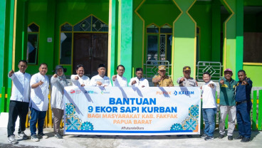Iduladha Bersama Masyarakat, Pupuk Kaltim Salurkan Bantuan 9 Sapi Kurban di Fakfak