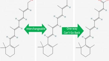 Kenali Bedanya Retinal dan Retinol, Lebih Baik Mana?