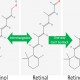 Kenali Bedanya Retinal dan Retinol, Lebih Baik Mana?