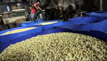 Harga Kedelai Impor di Kudus Naik Menjadi Rp11.000 per Kilogram