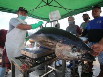Dorong Peningkatan Ekspor Tuna, Kementerian KKP Terapkan Harvest Strategy