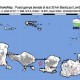 Gempa Magnitudo 3,4 Guncang Lombok