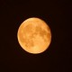 Fenomena Supermoon Buck Moon Muncul Besok 3 Juli, yang Pertama di Tahun 2023