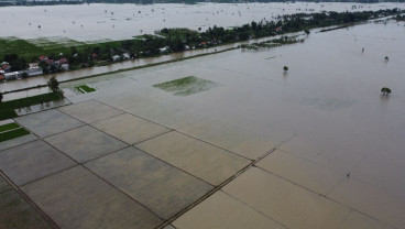 Tekanan Inflasi Akibat El Nino Perlu Diwaspadai