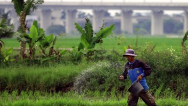 Pergerakan Inflasi: Melandai Kini, Waspada Paceklik Nanti