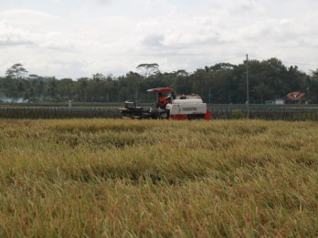 Petani di Purworejo Berharap Manfaat Bendungan Bener