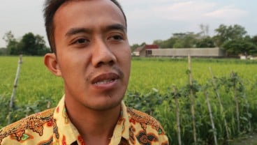 Petani Muda Boyolali Raup Untung dari Sistem Pertanian Organik