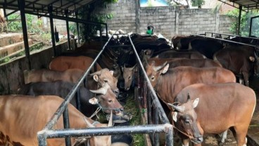 Kasus Antraks Gunung Kidul, Kementan Setop Lalu Lintas Hewan Ternak