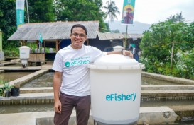 eFishery Bidik 1 Juta Kolam Usai Raih Pendanaan Rp3 Triliun