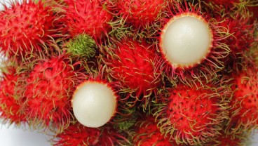 8 Manfaat Buah Rambutan, dari Booster Stamina hingga Bikin Kulit Glowing