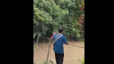 Viral Bapak Gendong Balita Meniti Jembatan Tali, Susi Pudjiastuti Ikut Komentar