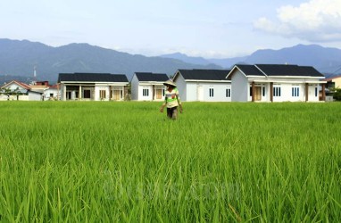 Peran Ekonomi Pertanian di Sumbar Dominan, Begini Kondisi Petani