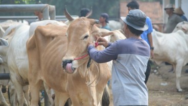Antisipasi Antraks, Empat Pasar Hewan di Purwakarta Ditutup Sementara