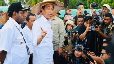 Antisipasi El Nino, Jokowi Perintahkan Genjot Produksi Pertanian