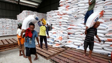 Antisipasi El Nino, Jokowi Ingin Cadangan Pangan Cukup