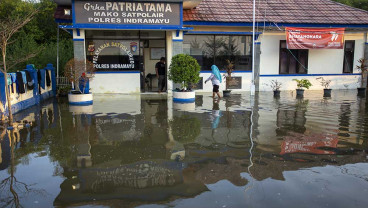 Banjir Rob Merendam Sejumlah Kawasan di Indramayu