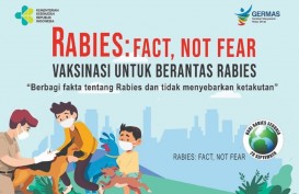 Vaksin Rabies Telah Didistribusikan Merata ke Seluruh Kaltara