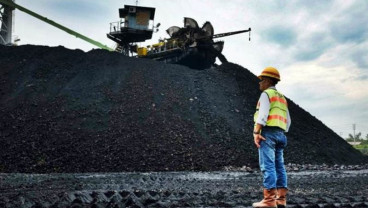 Energy Sector Declines as Coal Prices Plummet