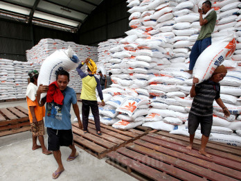 India Pertimbangkan Larangan Sebagian Ekspor Beras, Apa Dampaknya?