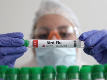 2 Orang di Inggris Positif Flu Burung