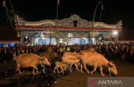 Jadwal Kirab Malam 1 Suro di Kraton Solo dan Mangkunegaran, Dilarang Pakai Baju Merah