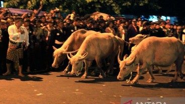 Perbedaan Malam 1 Suro dan 1 Muharram, Sejarah hingga Pantangannya