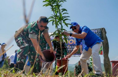 Konsisten Terapkan Prinsip ESG, Pupuk Kaltim Kembali Gandeng Kostrad Tanam Lebih Dari 63 Ribu Pohon