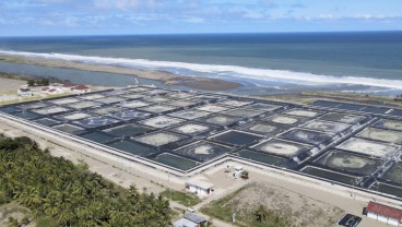 PLN Jamin Pasokan Listrik untuk Operasional Shrimp Estate Kebumen