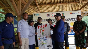 PTBA Tanam 50.000 Bibit Mangrove di Kawasan Ekowisata Cuku Nyi Nyi