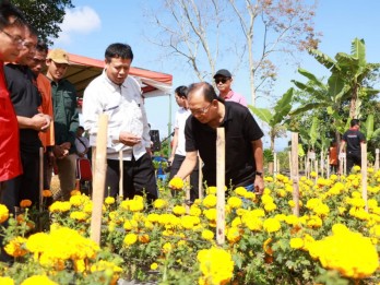 Tekan Impor, Pemerintah Bali Bidik Bisnis Bunga Gumitir