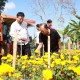 Tekan Impor, Pemerintah Bali Bidik Bisnis Bunga Gumitir