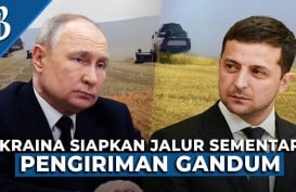 Rusia Setop Ekspor Gandum di Laut Hitam, Indonesia Kena Getahnya?