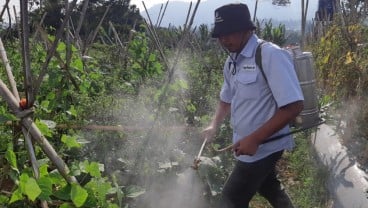 Ajinomoto Sasar Petani di Lembang untuk Pemanfaatan Pupuk Daun