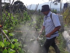 Ajinomoto Sasar Petani di Lembang untuk Pemanfaatan Pupuk Daun