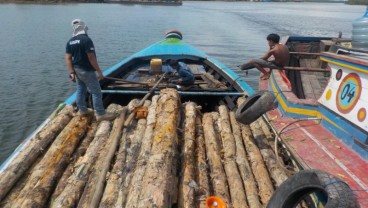 Ini Klarifikasi PT BRN Soal Penghadangan 3.000 Kubik Kayu di Mentawai