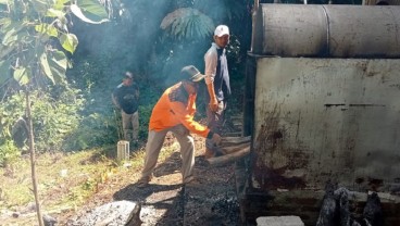 Produksi Minyak Kayu Putih Jadi Sumber Ekonomi Baru Masyarakat Sijunjung