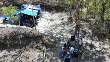 Fosil Gajah Purba Berumur Ratusan Ribu Tahun Ditemukan di NTT
