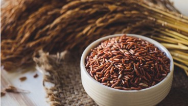 Pasien Diabetes Boleh Makan Nasi Merah atau Putih, Ini Syaratnya